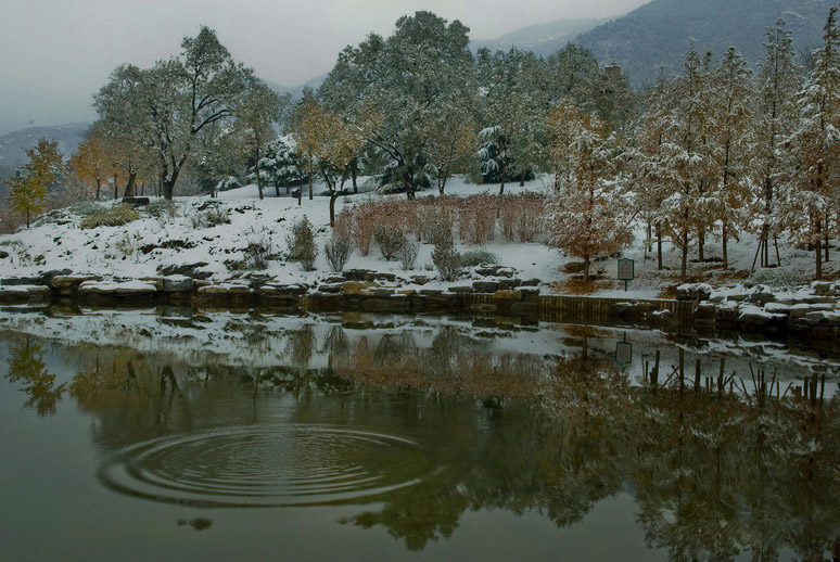 北京植物园雪景 2 摄影 hzyabc4480