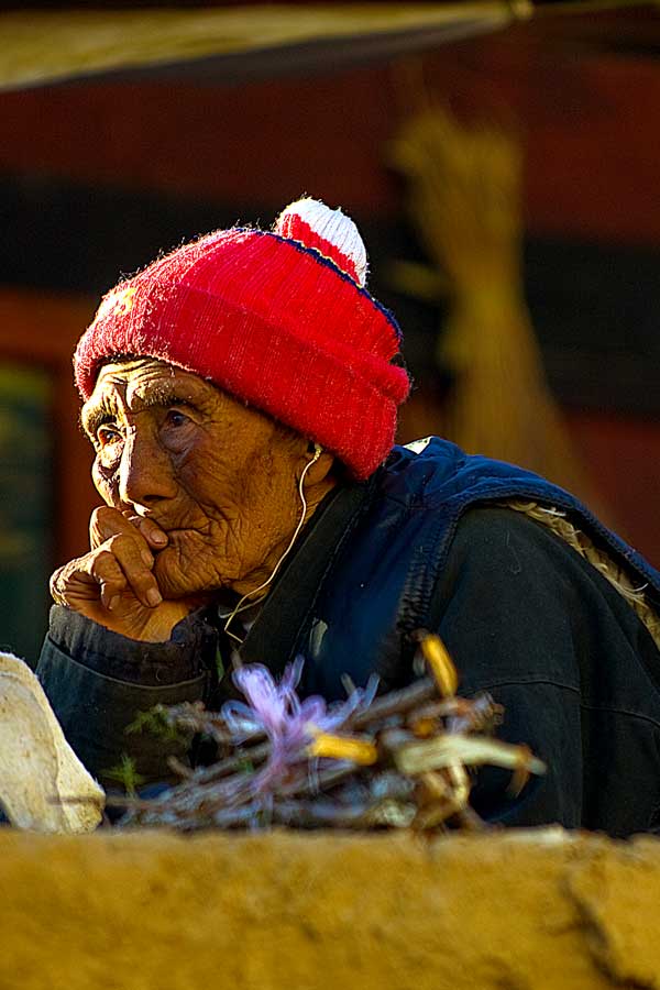 沉思 摄影 雪域之子