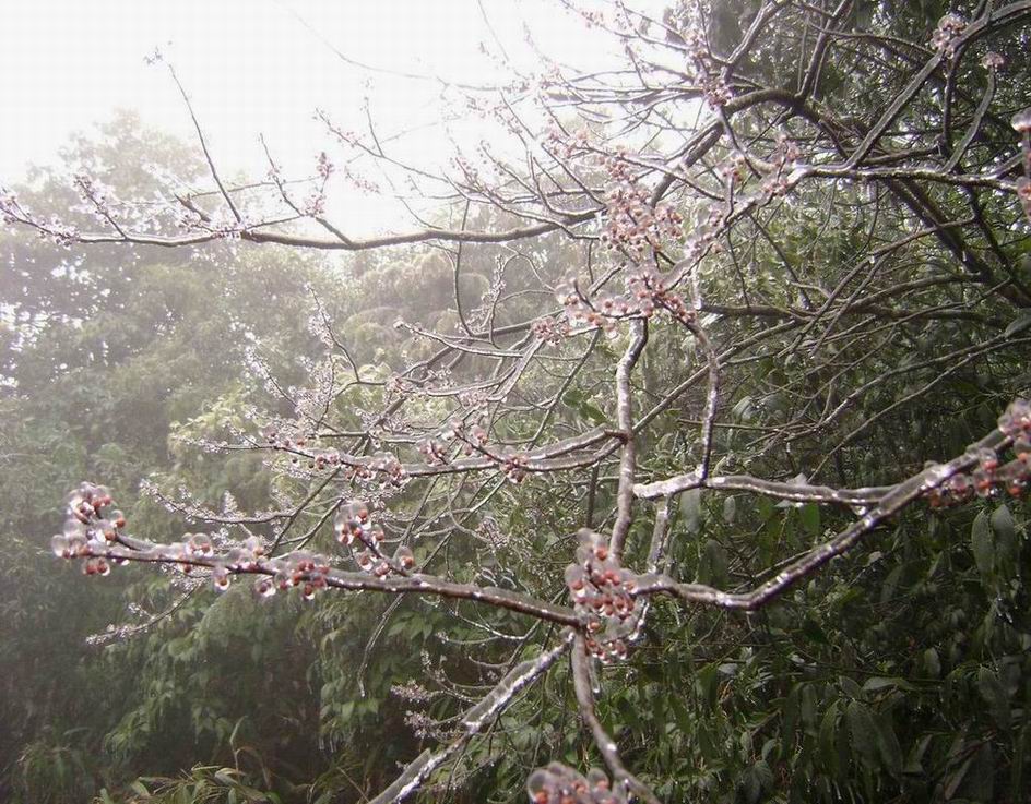 生命 摄影 沉兄