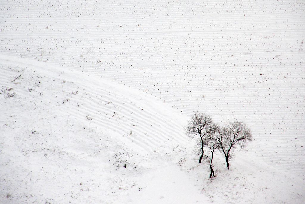 雪野 摄影 皓月郑顺安