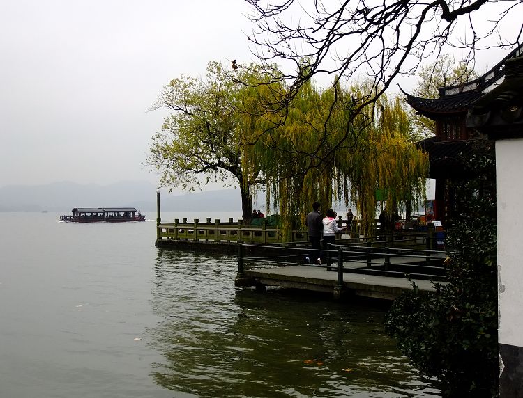 雨中也招人 摄影 心雨心雨
