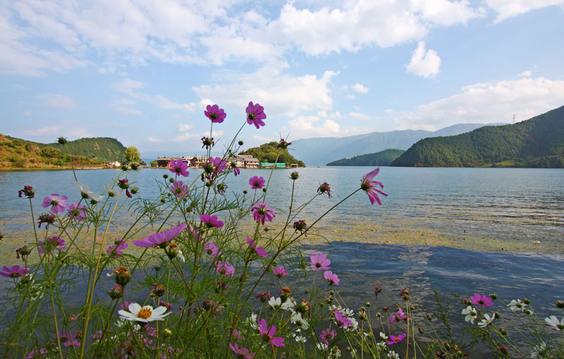 沪沽湖小景<3> 摄影 青城樵夫