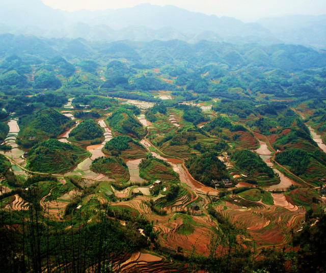 蜀南奇景—百龟拜寿 摄影 山水闲散客