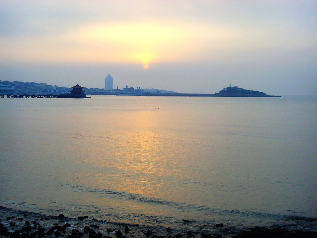 海霞 摄影 海鸥119