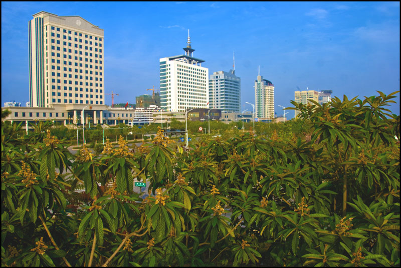 新城新貌 摄影 明暗妙用