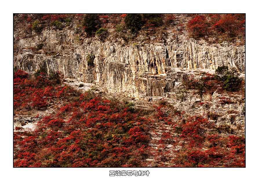 巫峡岩石与红叶 摄影 耕耘人