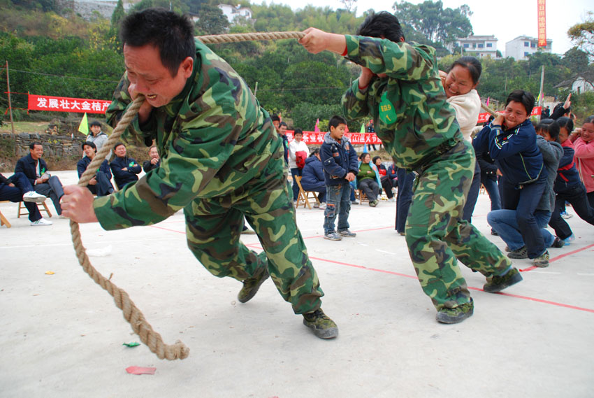 同心协力 摄影 刘金有