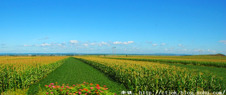 东北田园 摄影 岳阳老铁