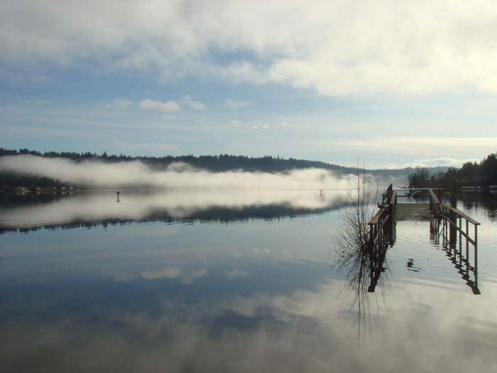 water fog 摄影 shaykh