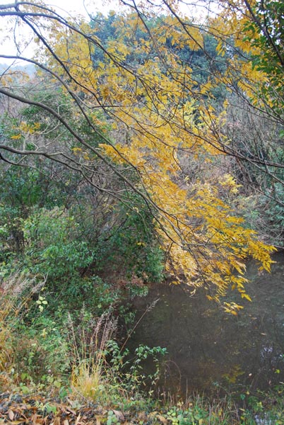 对镜贴花黄 摄影 52sheying