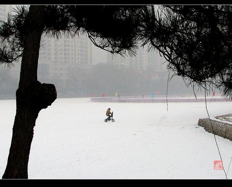 冰雪覆盖了公园湖面 摄影 走马观花