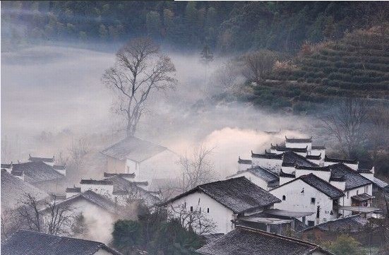 山村晨雾 摄影 紫羽