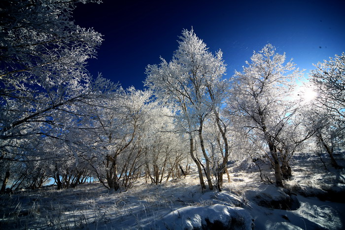 塞北的雪 摄影 syp