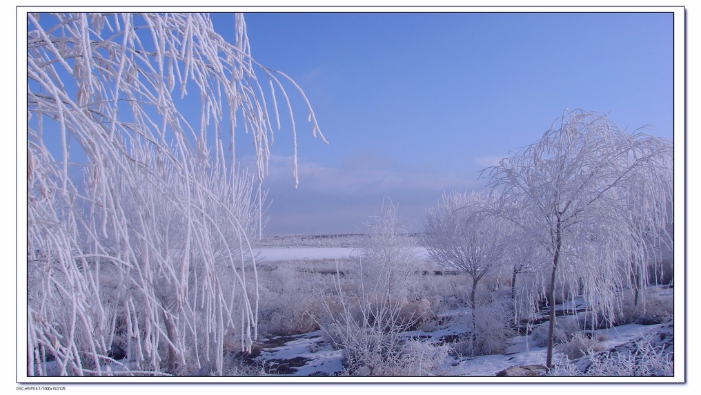 雪景（一） 摄影 金泰雨虹