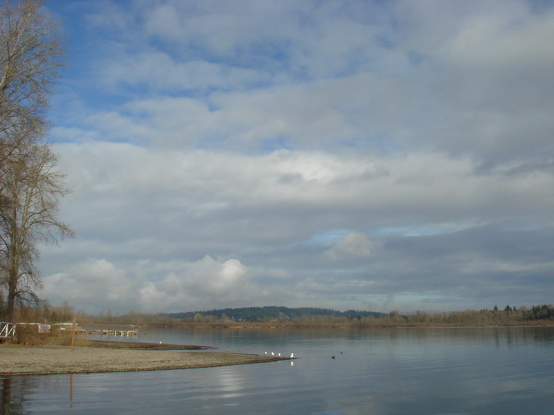 lake 摄影 shaykh