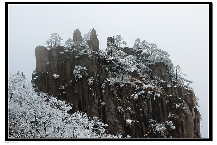 黄山雪景1 摄影 曲波