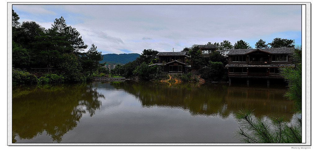 武夷山小景 摄影 紫色早春