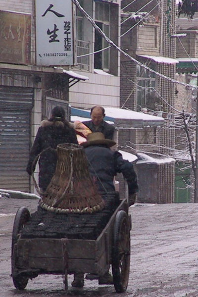 雪中送炭 摄影 老熊猫