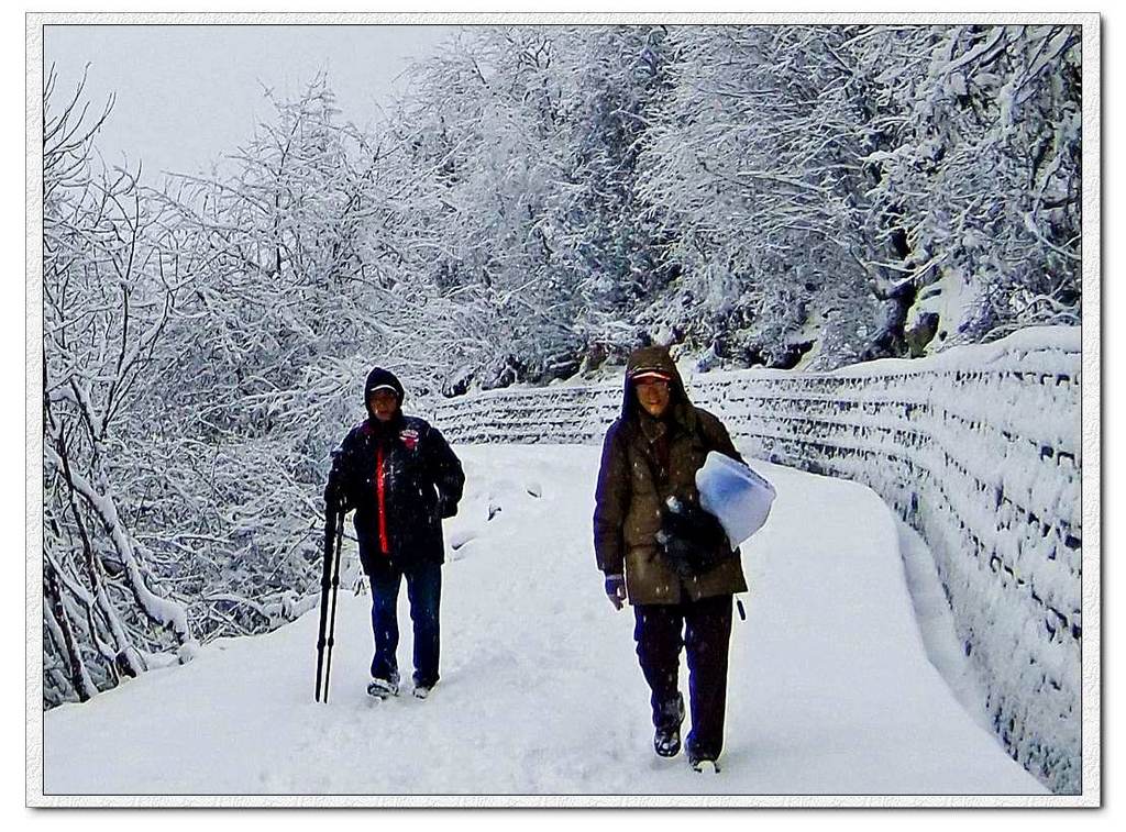 踏雪寻色 摄影 翠堤春晓