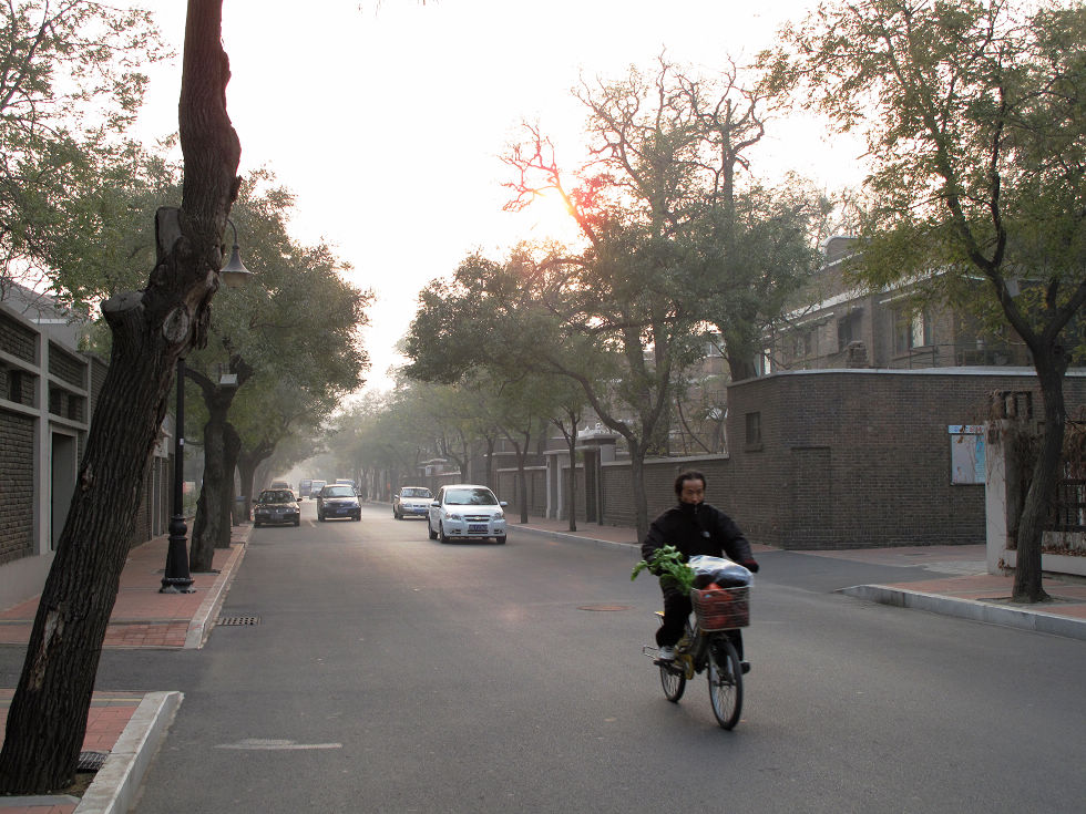 天津行之二——宁静的街道 摄影 同尘