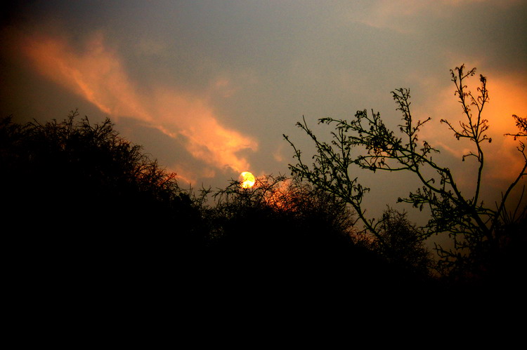 夕阳 摄影 老山石