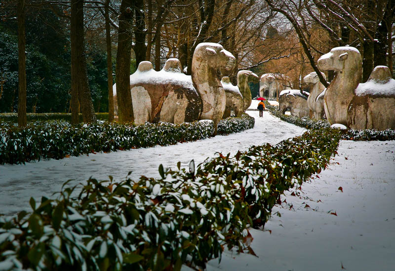 石象路冬雪 摄影 岚水清清