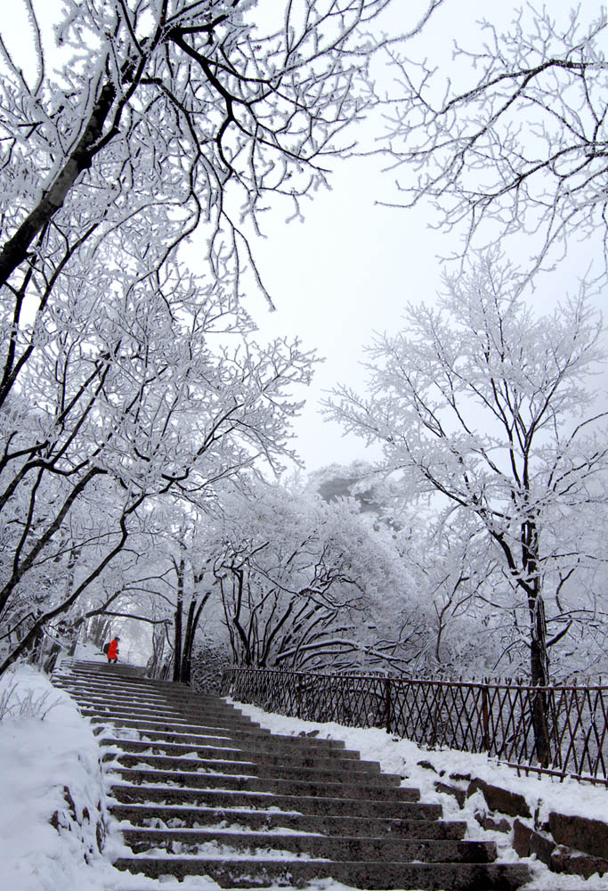 初雪 摄影 风之枫