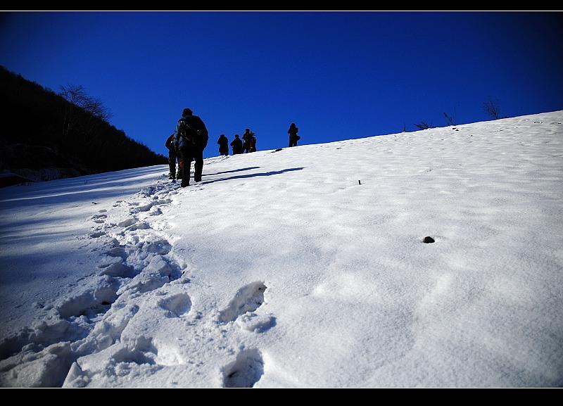 攀 摄影 雪中飞