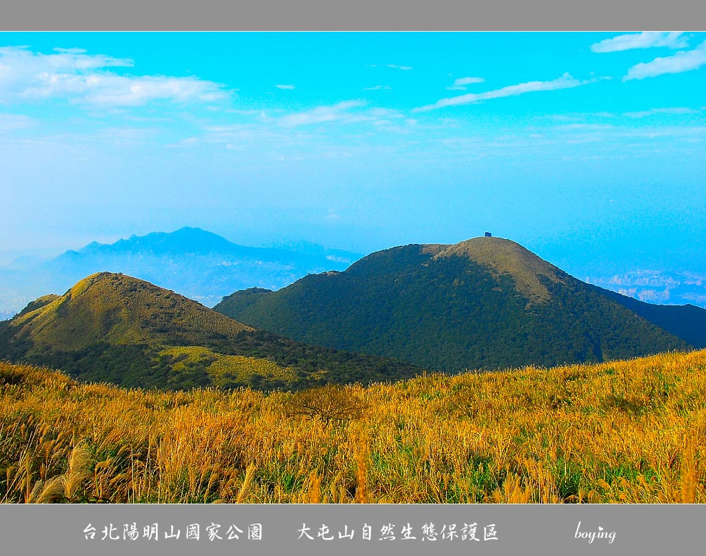 台北陽明山   大屯山生態區 摄影 boying