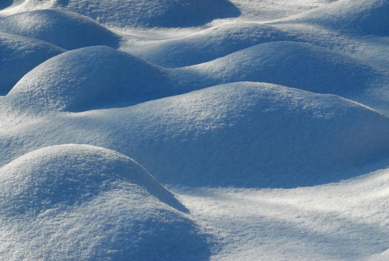 卧雪 摄影 喜来乐