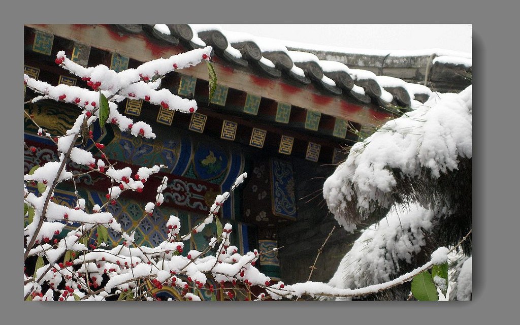 大观园雪景10 摄影 陕北农民