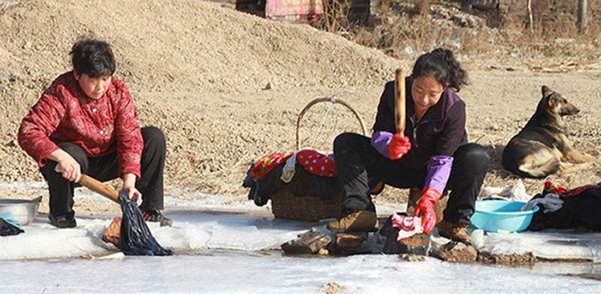 棒槌、女人和狗 摄影 银头掠影