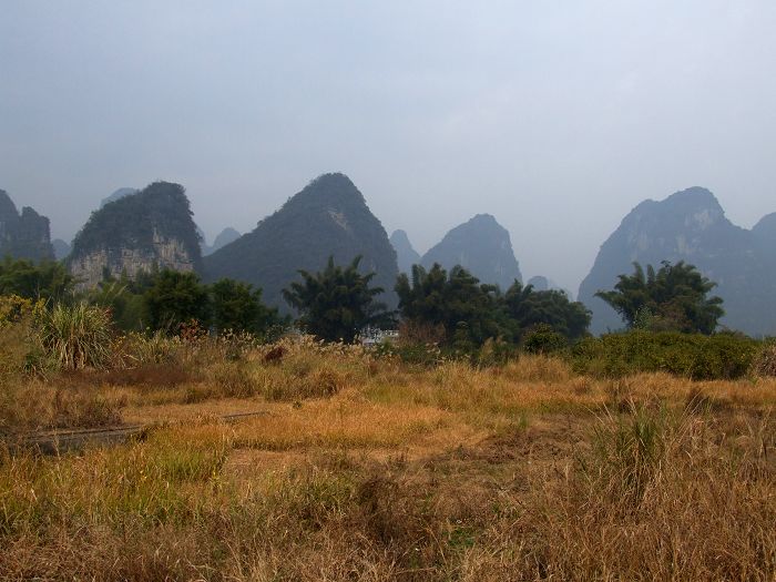 遍地黄色满眼秋 摄影 英豪再闲