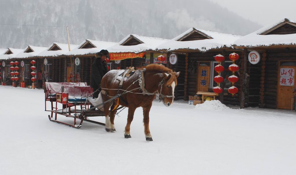 雪乡拾零 摄影 摄乐