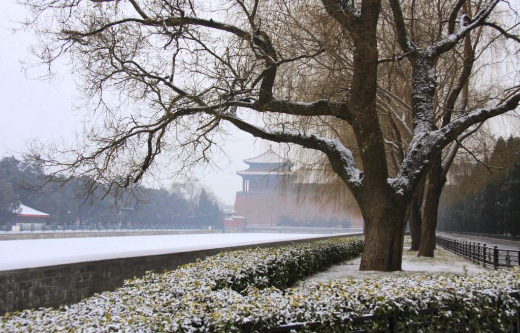 北京2010年第一场雪（1） 摄影 TT1948