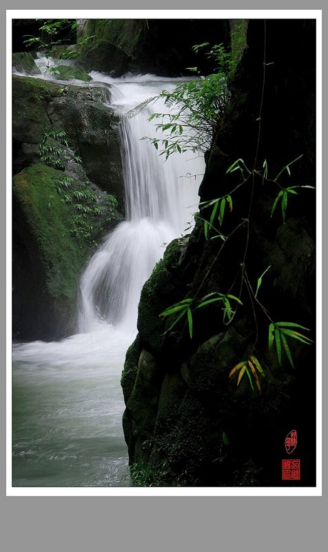 山间小渓 摄影 九里堤