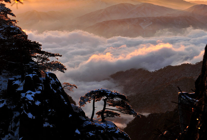 黄山风光 摄影 空中花园.