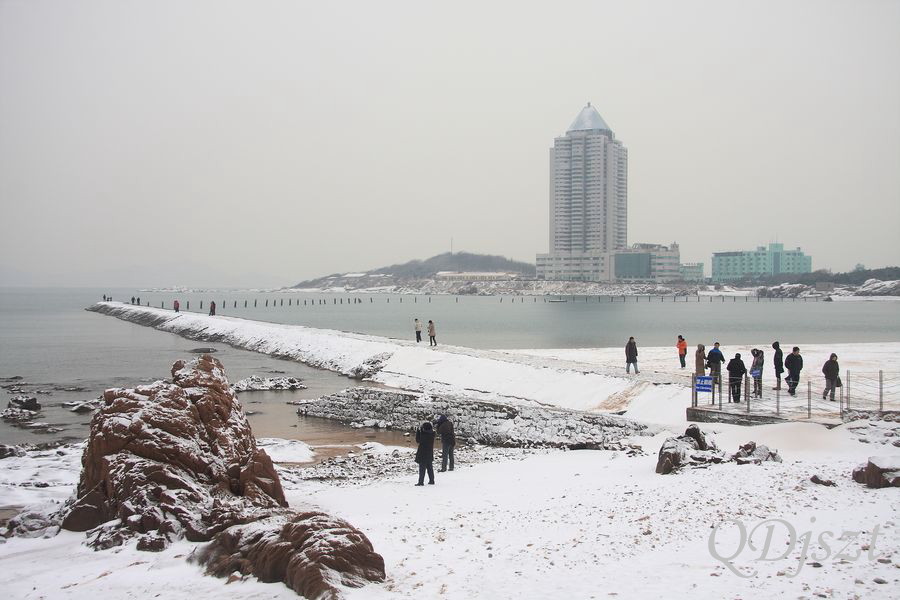 雪 摄影 青岛久摄之图