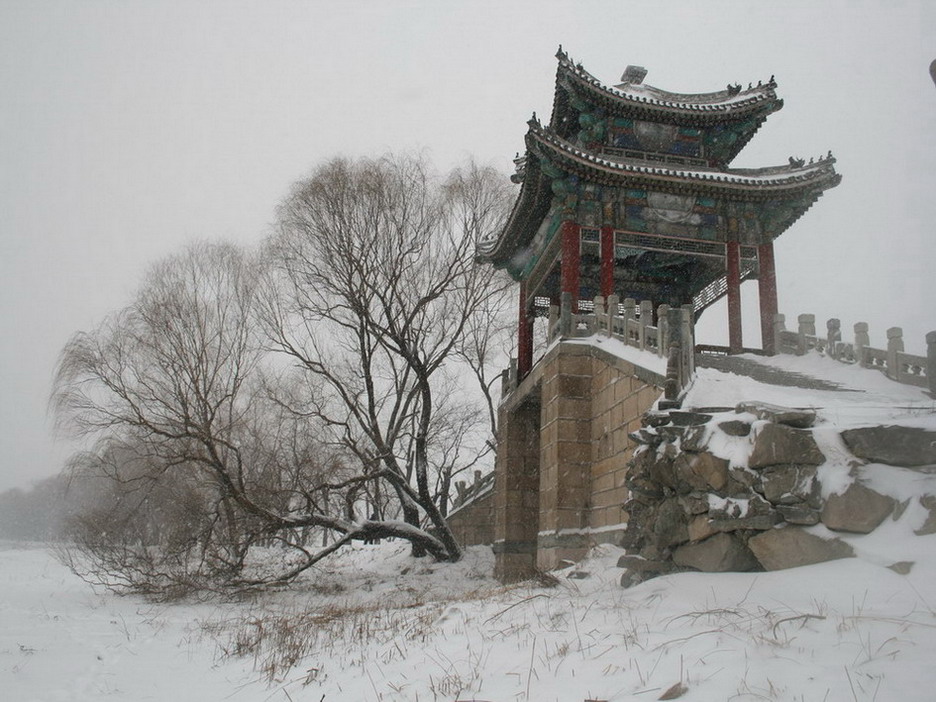 新年的雪 摄影 来兮