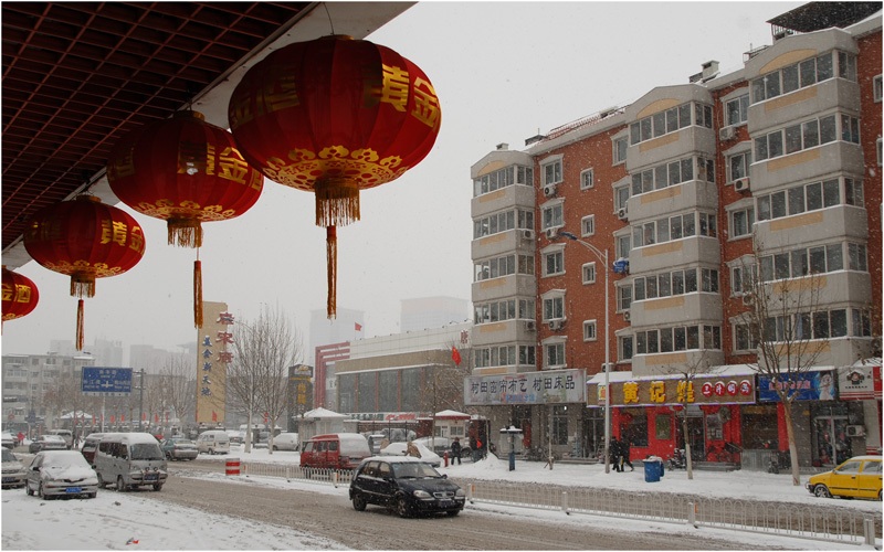 雪中 摄影 飘飘