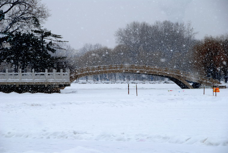 雪乱飘 摄影 融秋