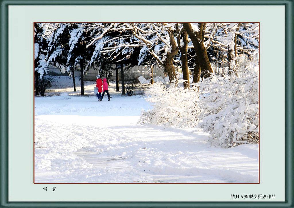 雪霁 摄影 皓月郑顺安