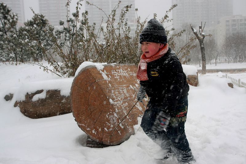 下雪了 摄影 巴彦特拉