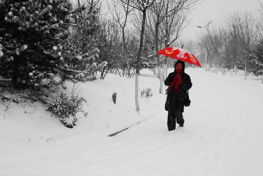 风雪兼程 摄影 金隅呵呵