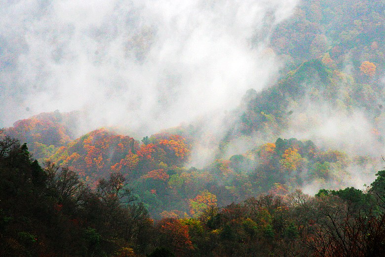 光雾山（27） 摄影 一思