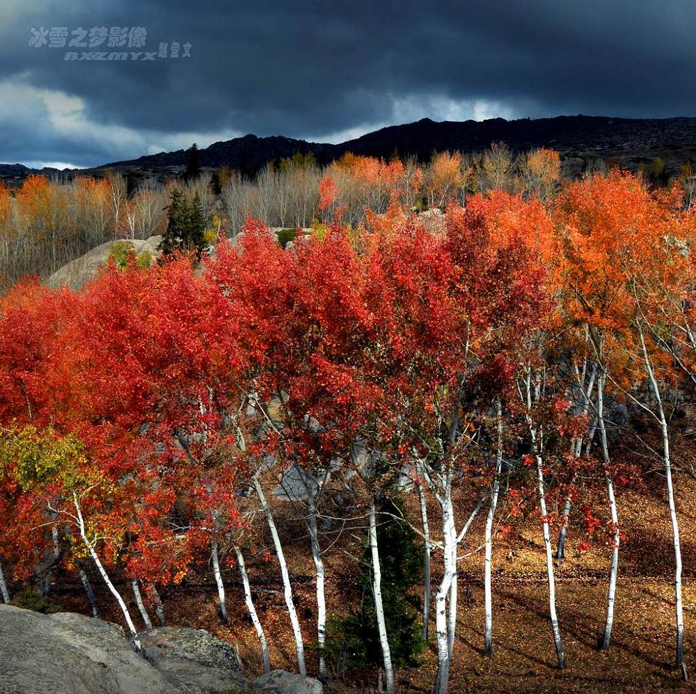 红叶沟 ２ 摄影 冰雪之梦