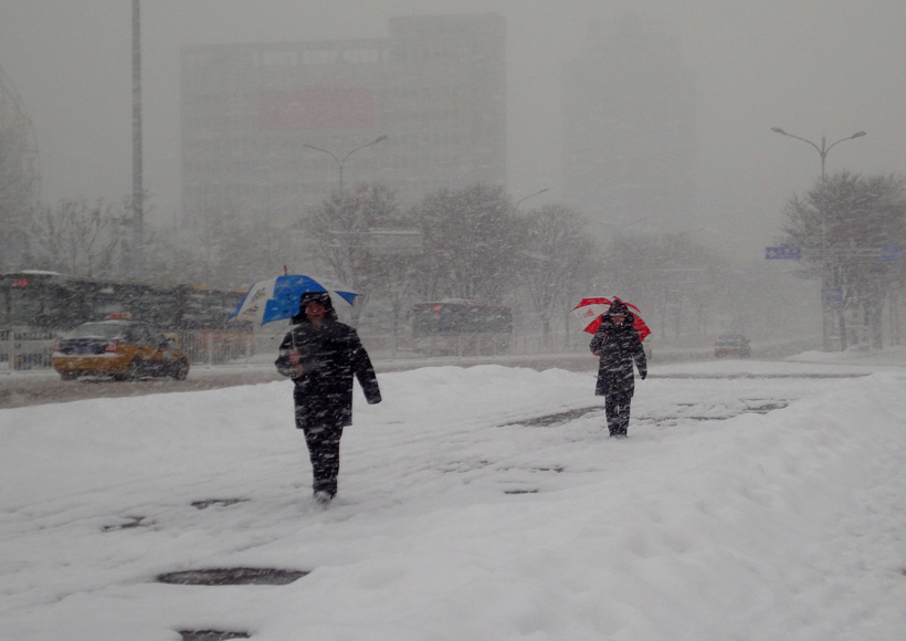 第一场大雪 摄影 取经人