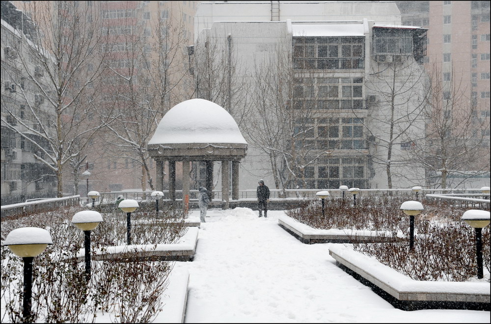 2010津门第一场雪 摄影 xiexie