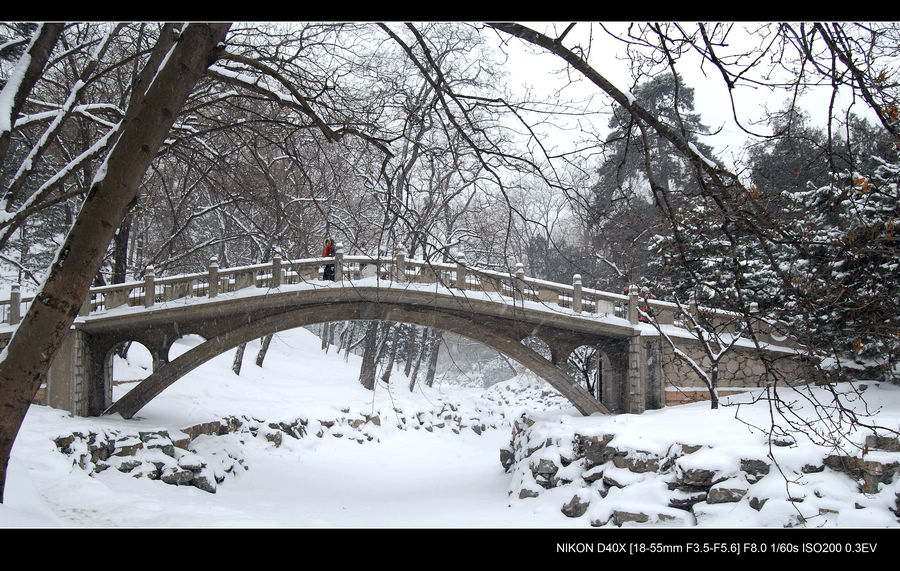 踏雪伊人 摄影 岩影