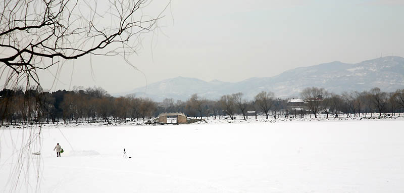 雪后 摄影 老豆芽